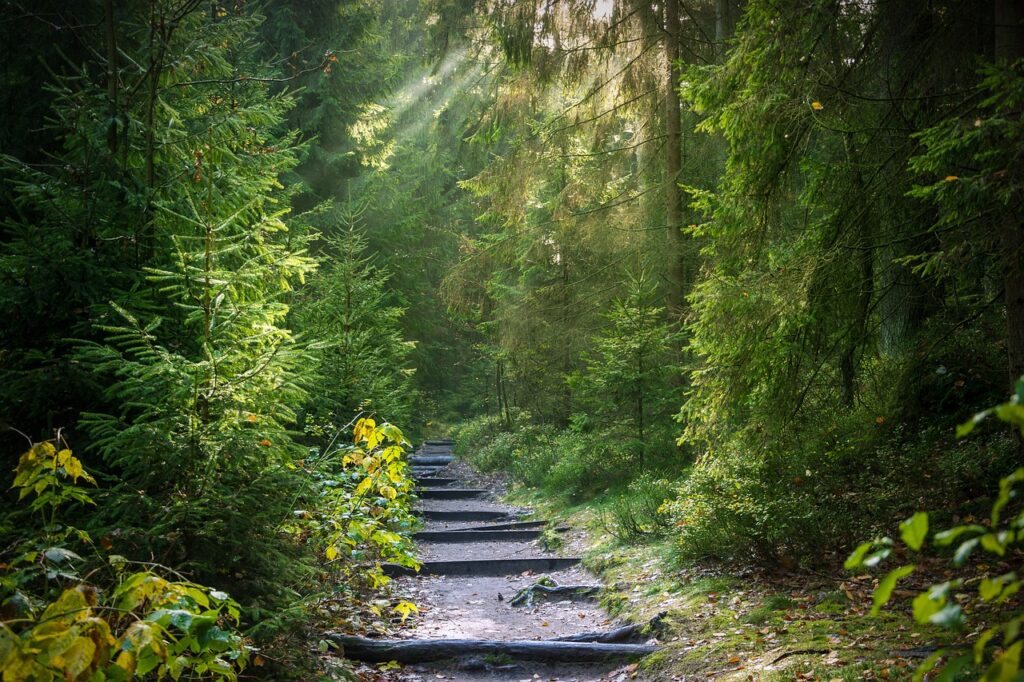 Pourquoi ces accompagnements ? Photo "Pourquoi ces accompagnements ?"